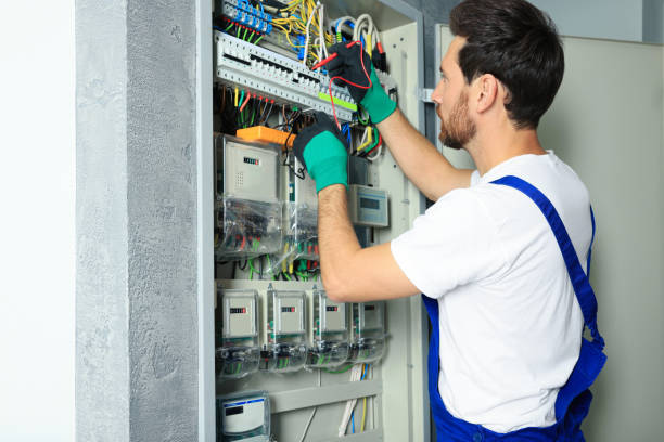 Best Electric Panel Repair  in Blue Rapids, KS